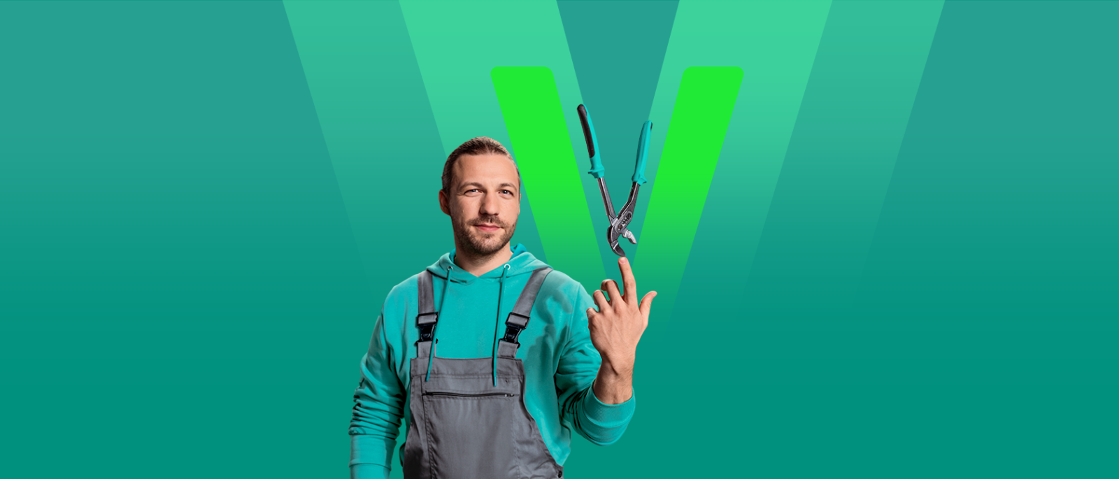  Vaillant service